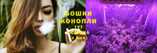 ГАЛЛЮЦИНОГЕННЫЕ ГРИБЫ Грязи