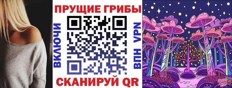 Купить где  Кондопога  Псилоцибиновые грибы Magic Shrooms 